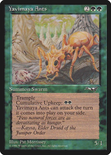 105-yavimayaants
