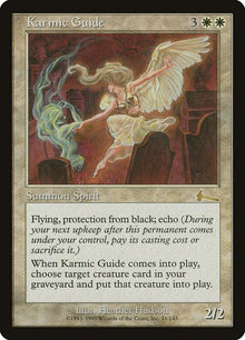 11-karmicguide
