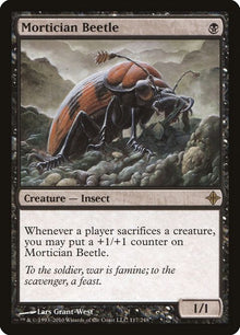 117-morticianbeetle
