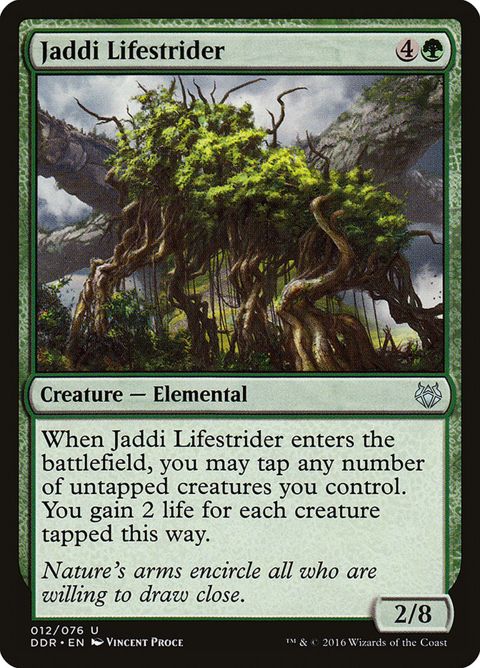 12-jaddilifestrider