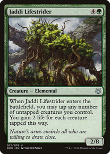 12-jaddilifestrider