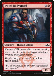 120-wojekbodyguard