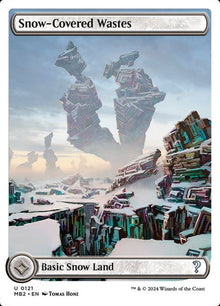 121-snowcoveredwastes