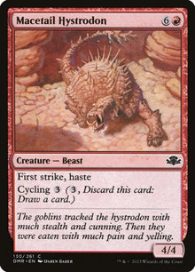 130-macetailhystrodon