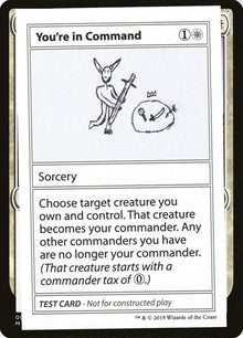15-youreincommand