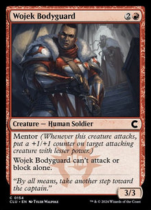 154-wojekbodyguard