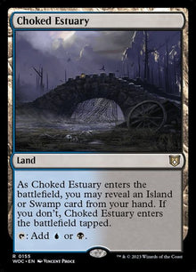 155-chokedestuary