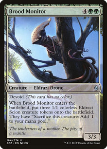 164-broodmonitor