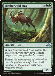 169-somberwaldstag