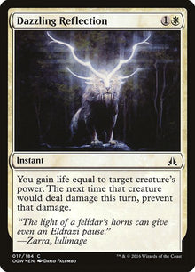 17-dazzlingreflection