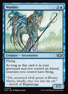 170-wonder