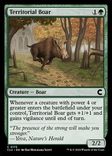 175-territorialboar