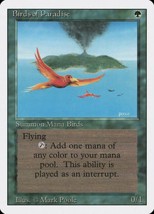 187-birdsofparadise
