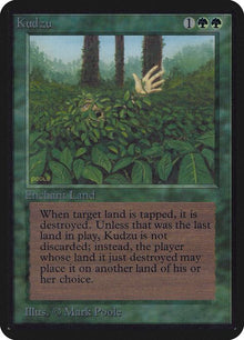 204-kudzu