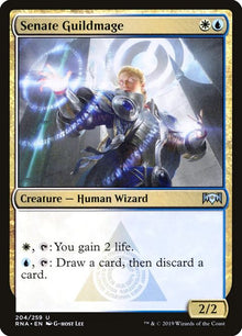 204-senateguildmage