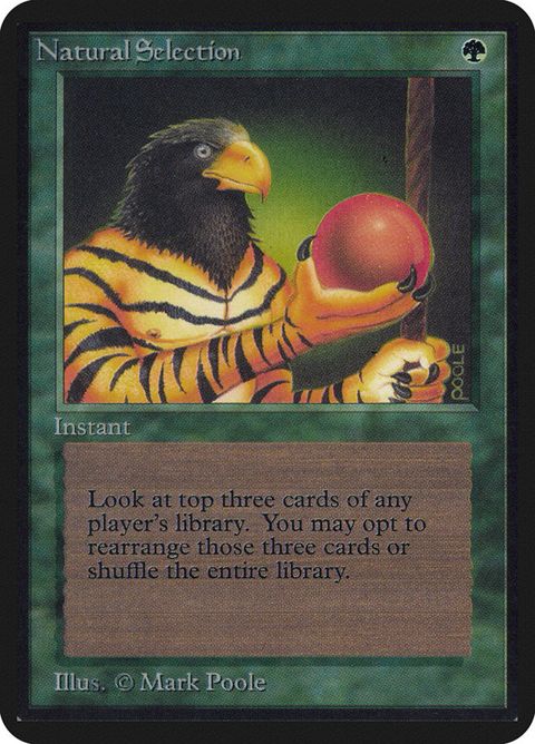 212-naturalselection