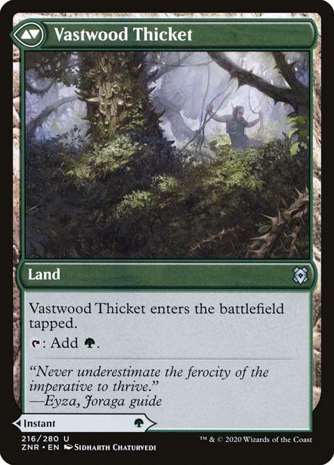 216-vastwoodfortificationvastwoodthicket