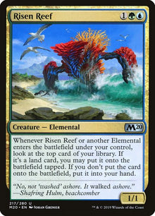 217-risenreef