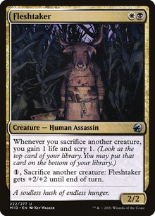 222-fleshtaker