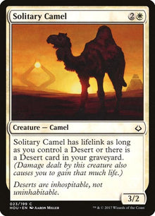 23-solitarycamel