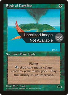 234-birdsofparadise
