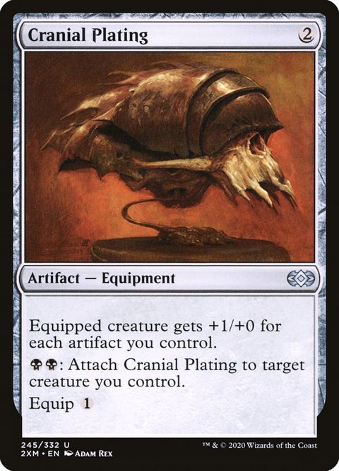 245-cranialplating