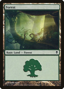 246a-forest