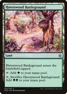 256-havenwoodbattleground