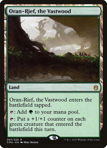 263-oranriefthevastwood
