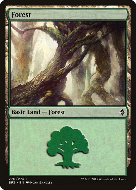 270a-forest