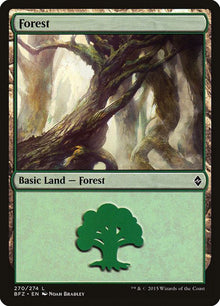 270a-forest
