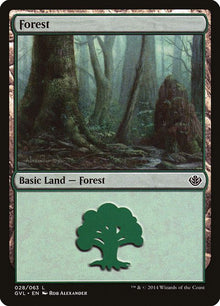 28-forest