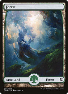 280-forest