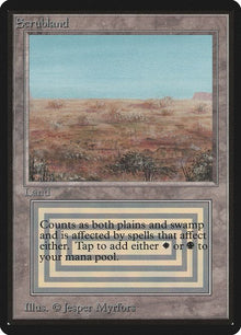 282-scrubland