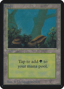294-forest