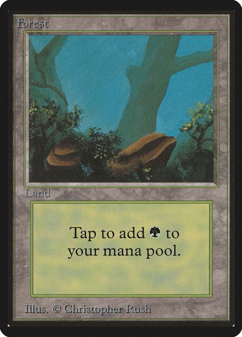 300-forest