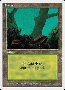 304-forest