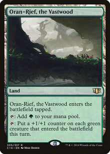 305-oranriefthevastwood