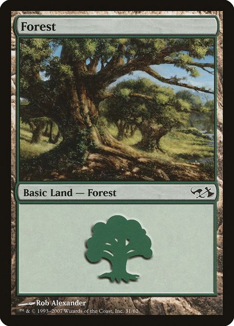 31-forest