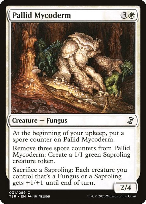 31-pallidmycoderm