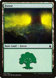 313-forest