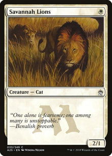 33-savannahlions