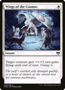 39-wingsofthecosmos