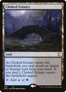 393-chokedestuary