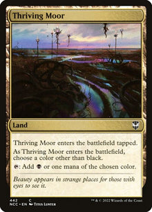 442-thrivingmoor