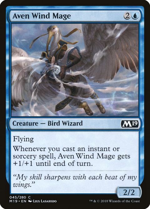45-avenwindmage