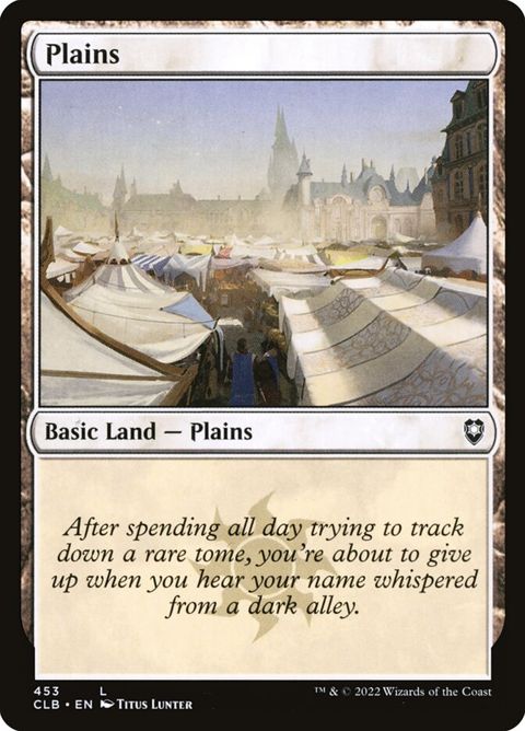 453-plains