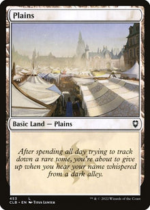 453-plains