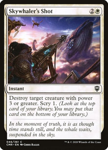 46-skywhalersshot