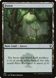 467-forest